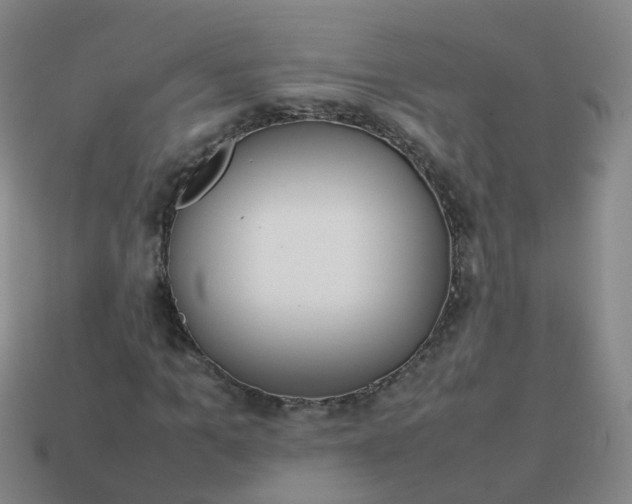 X0000113870965200910081723