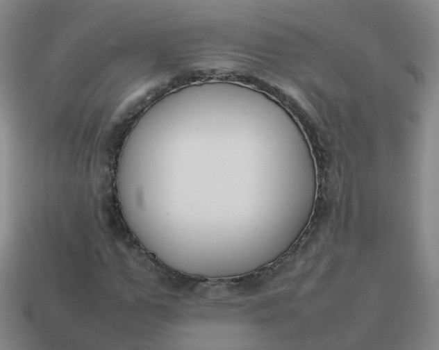 X0000113870967200910081723