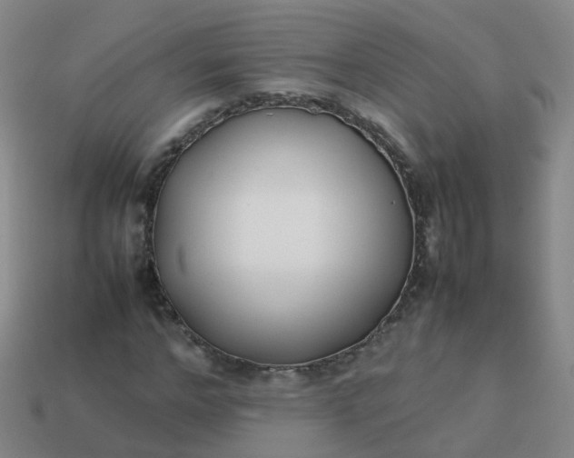 X0000113870968200910081723