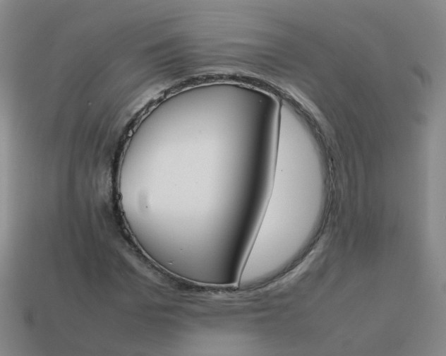 X0000113870969200910081723