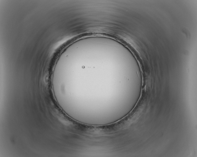 X0000113870971200910081723