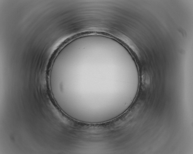 X0000113870972200910081723