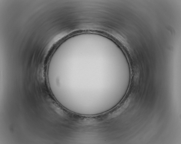 X0000113870974200910081723