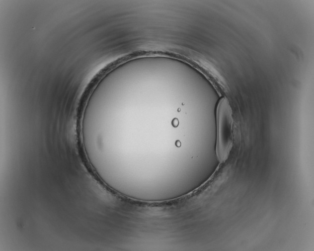 X0000113870976200910081723