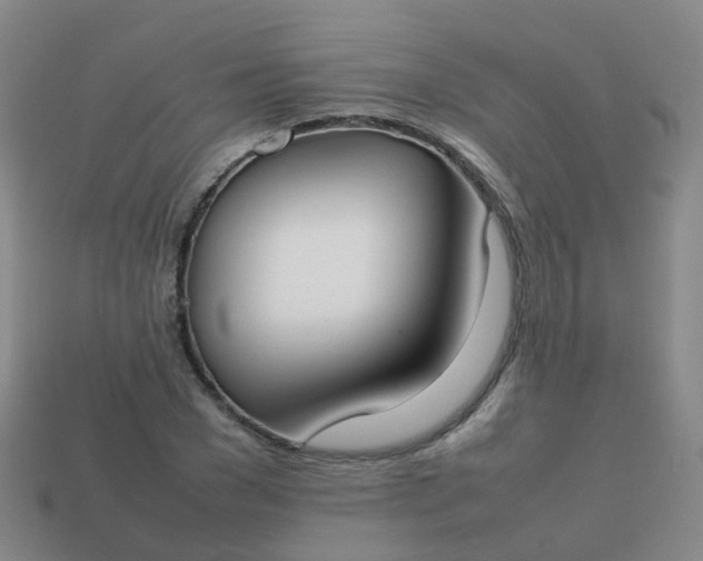 X0000113870977200910081723