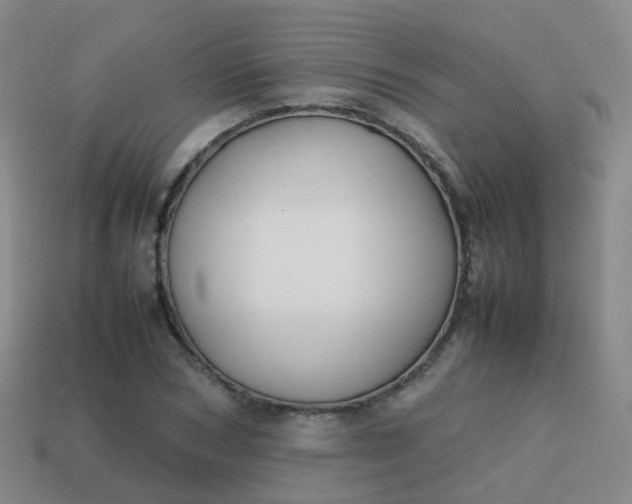 X0000113870978200910081723