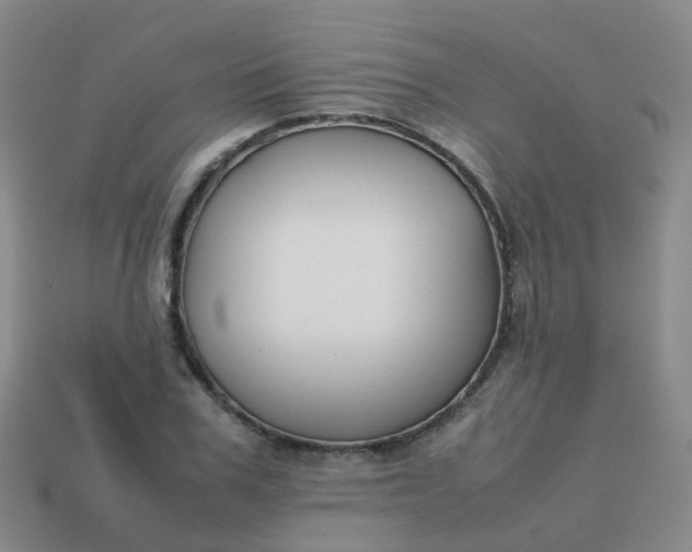 X0000113870979200910081723