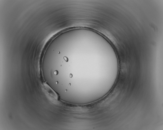 X0000113870980200910081723