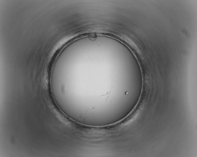 X0000113870981200910081723