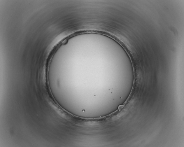 X0000113870982200910081723