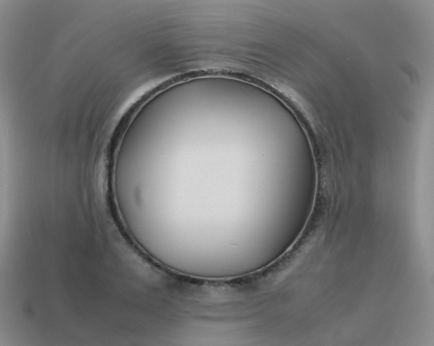 X0000113870983200910081723