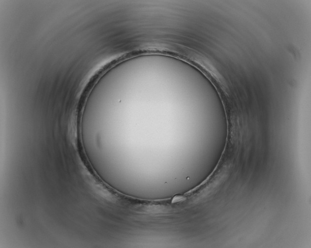 X0000113870984200910081723