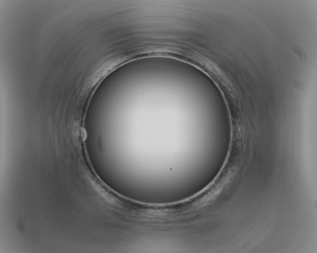 X0000113870985200910081723