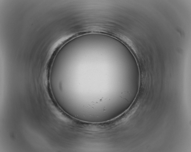 X0000113870987200910081723