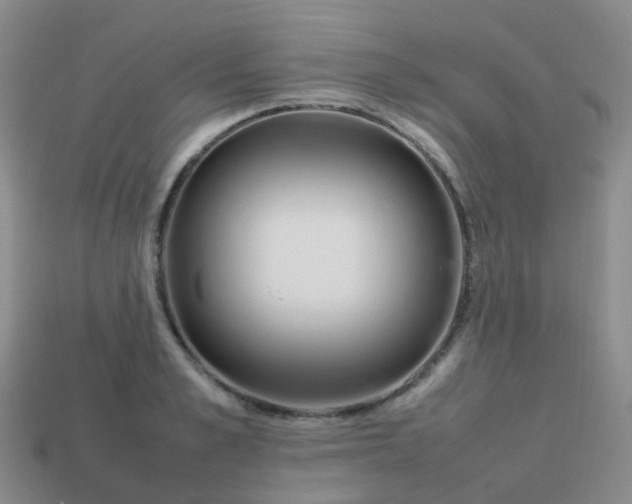 X0000113870989200910081723