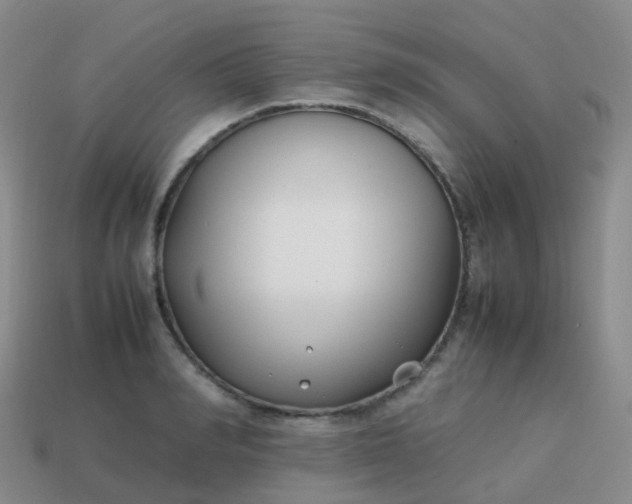 X0000113870990200910081723