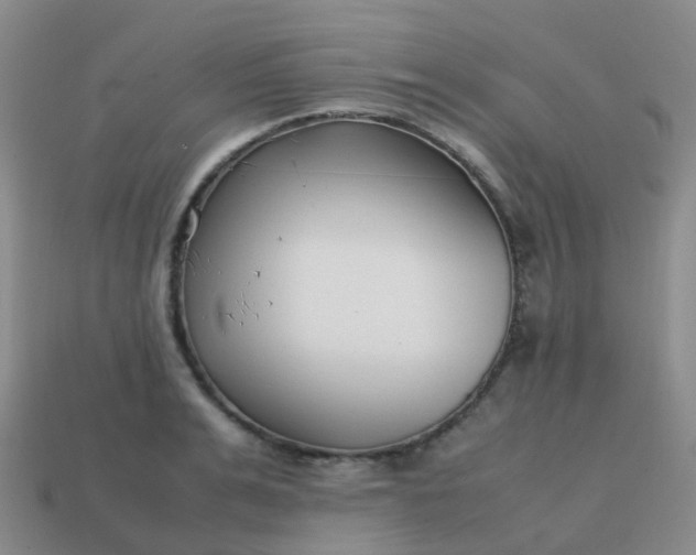 X0000113870991200910081723