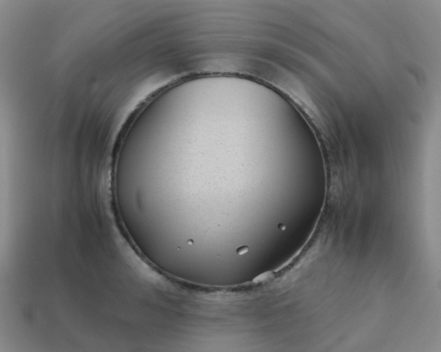 X0000113870992200910081723