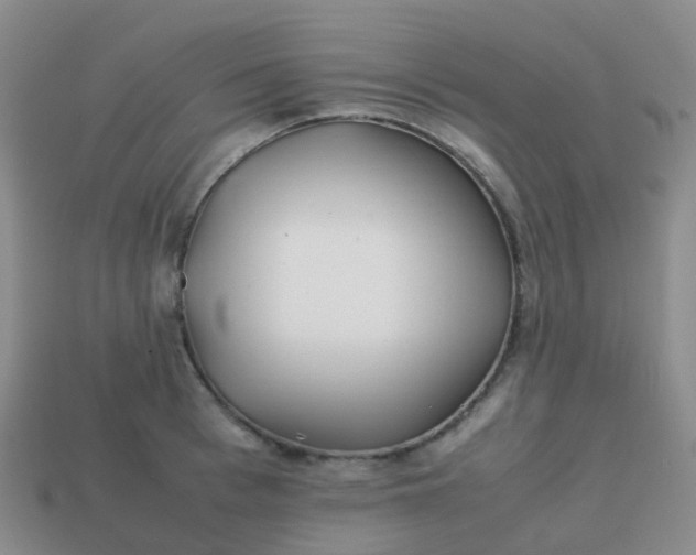 X0000113870993200910081723