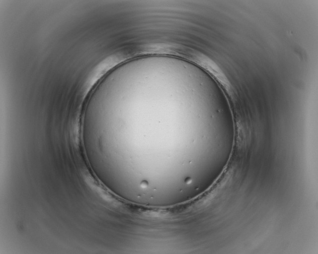 X0000113870994200910081723