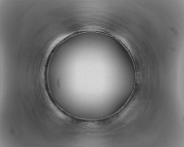 X0000113870995200910081723