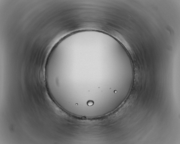 X0000113870996200910081723