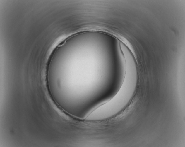 X0000113870997200910081723