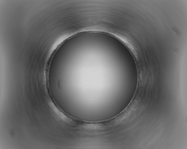 X0000113870998200910081723