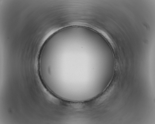 X0000113870999200910081723