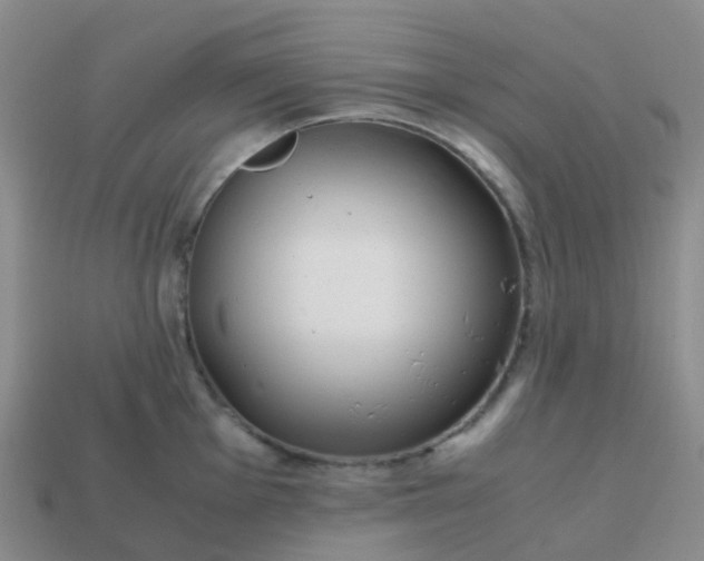 X0000113871001200910081723