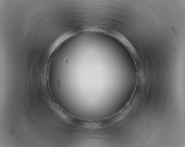 X0000113871002200910081723