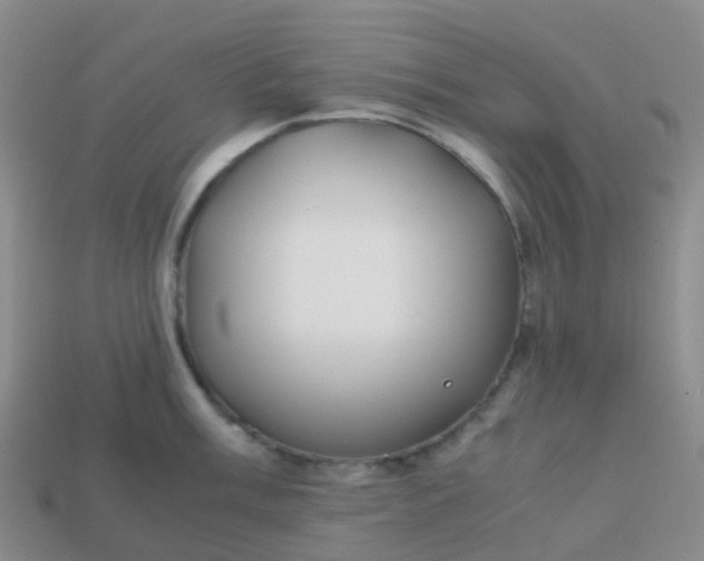 X0000113871003200910081723