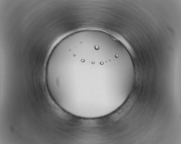 X0000113871004200910081723