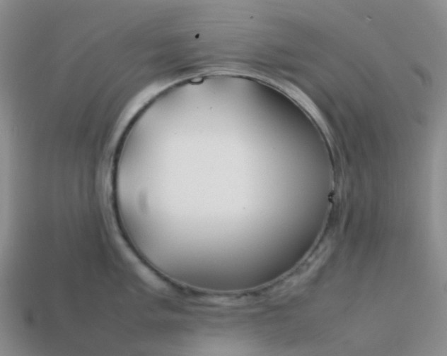 X0000113871005200910081723