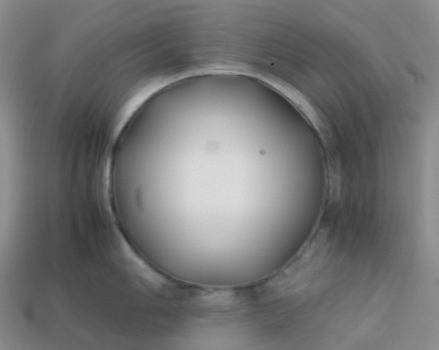 X0000113871006200910081723