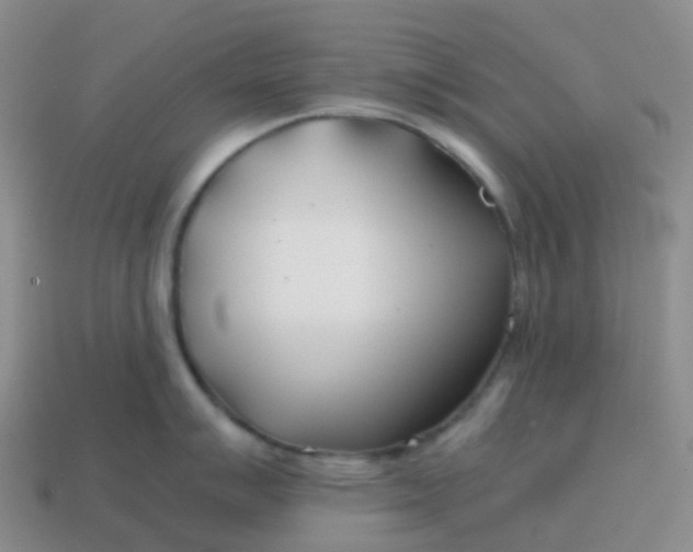 X0000113871007200910081723