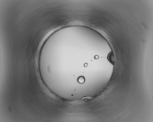 X0000113871008200910081723