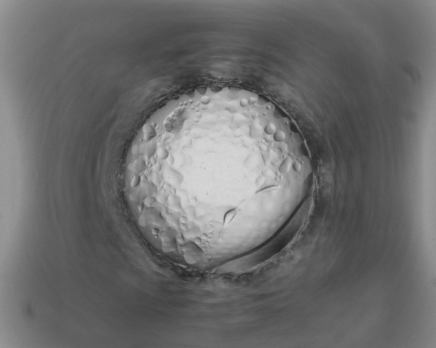 X0000113871009200910081722