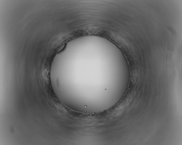 X0000113871010200910081722