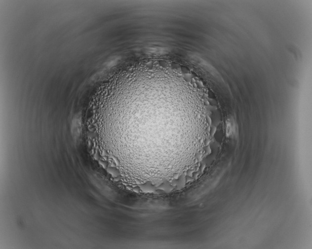 X0000113871011200910081722