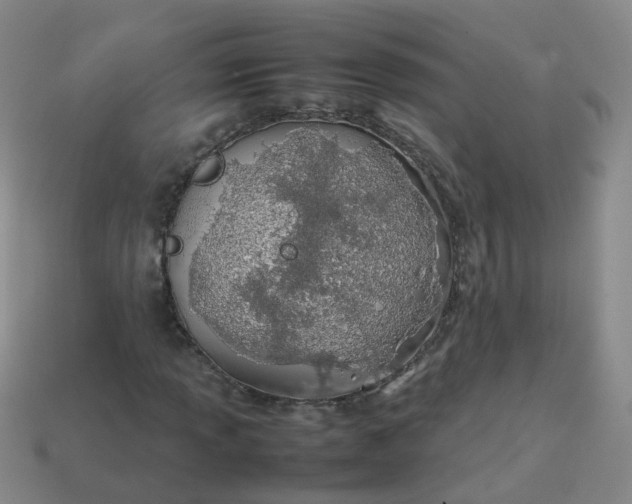 X0000113871013200910081722