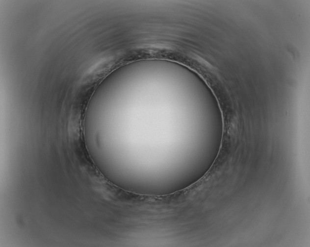 X0000113871014200910081722