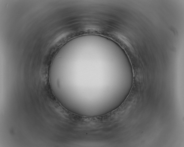 X0000113871015200910081722