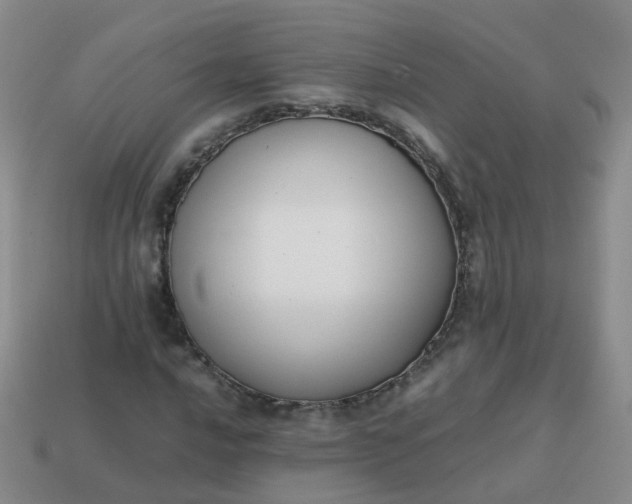 X0000113871016200910081722