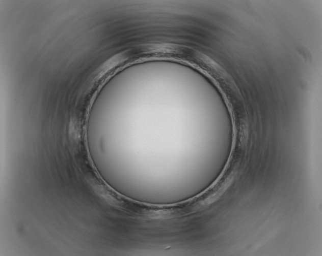 X0000113871017200910081722