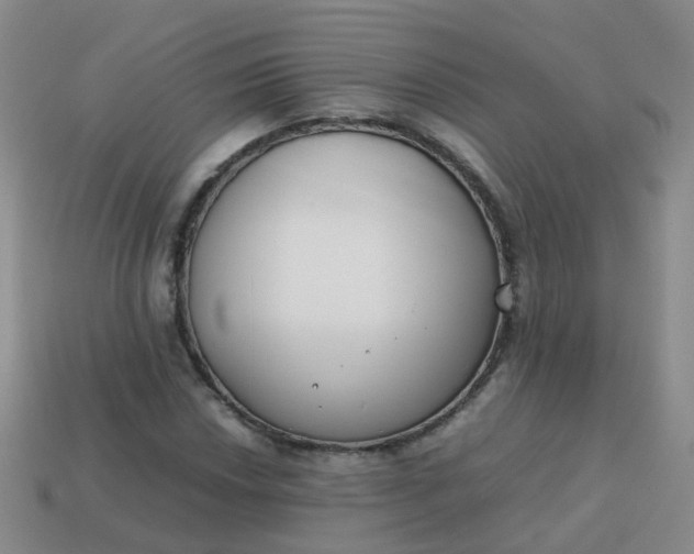 X0000113871018200910081722