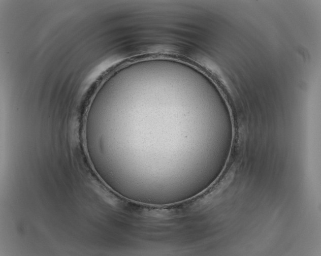 X0000113871019200910081722