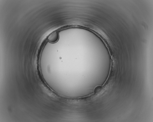 X0000113871020200910081722