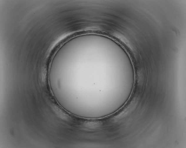 X0000113871021200910081722