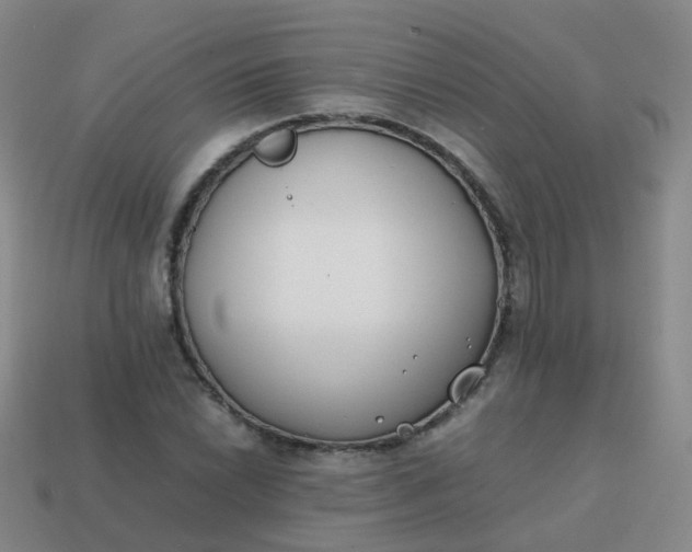 X0000113871022200910081722